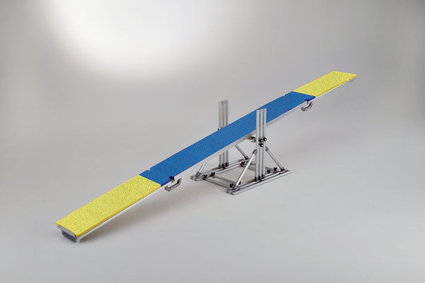Training Kit:　Seesaw