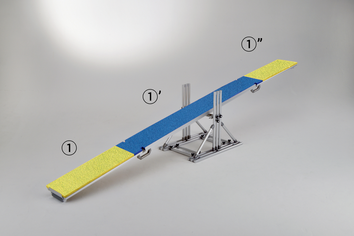 Training Kit:　Seesaw