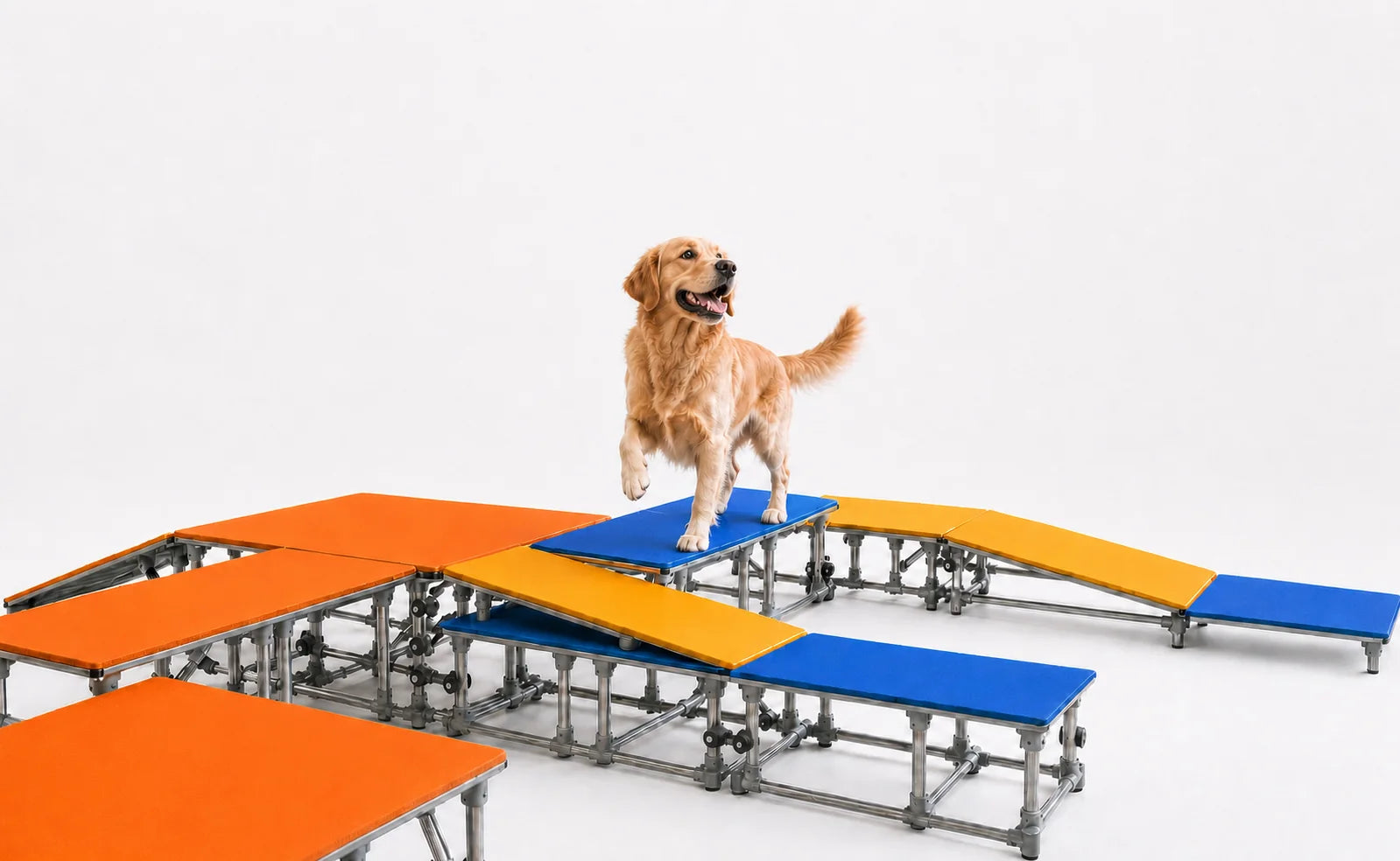 Dog moving through a colorful Paw Grit™ modular configuration